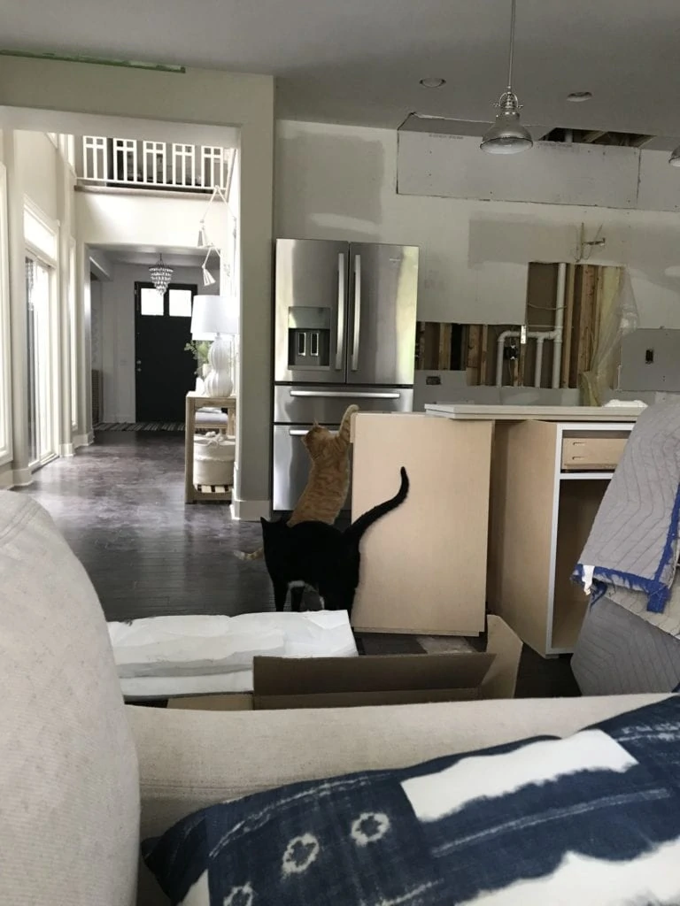 Two cats playing in the kitchen that is being renovated.