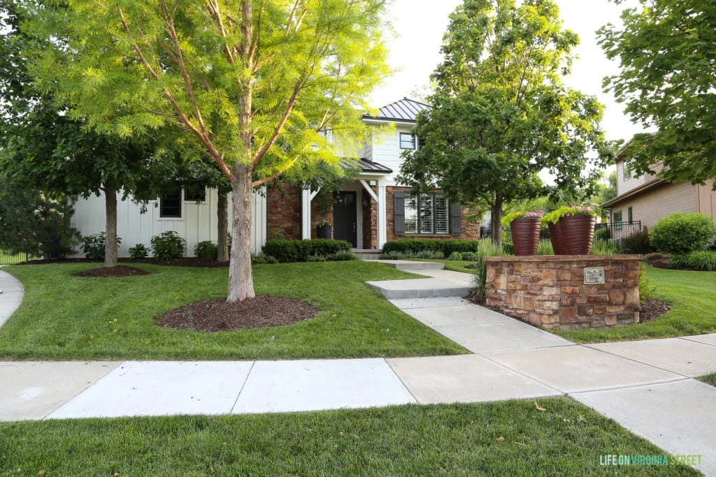 A modern coastal home painted Benjamin Moore White Dove, and large trees flank the house.