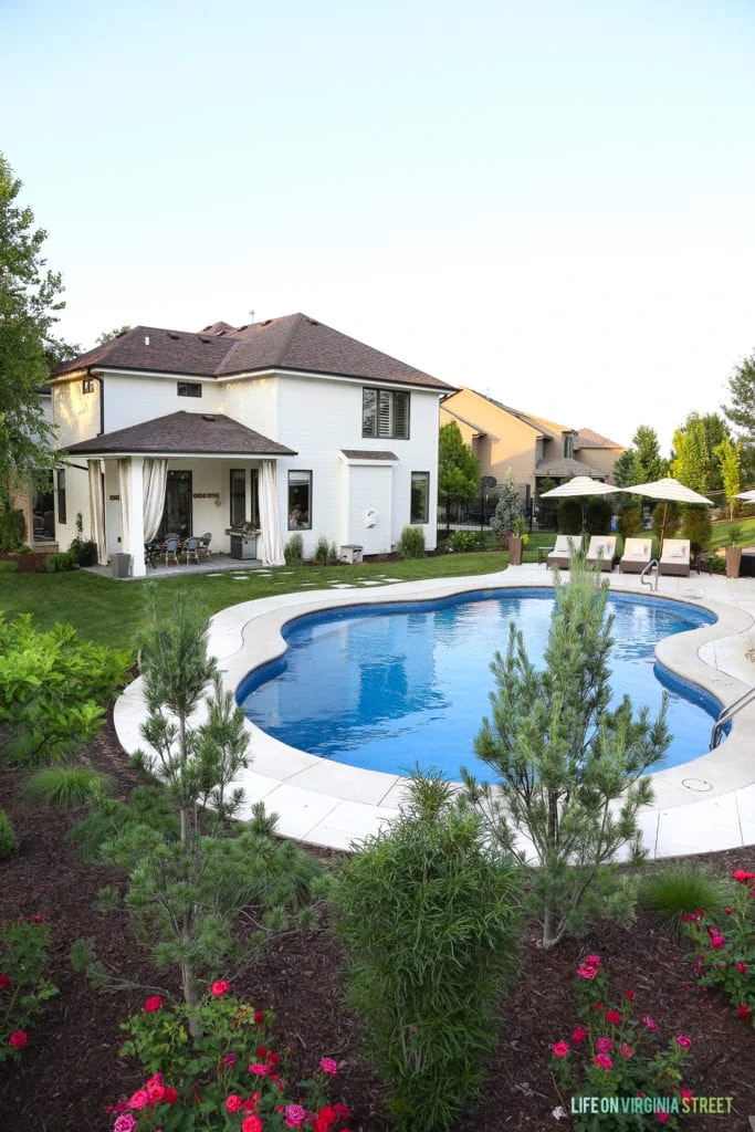 The back of the house painted with an inground pool and lots of shrub beside it.