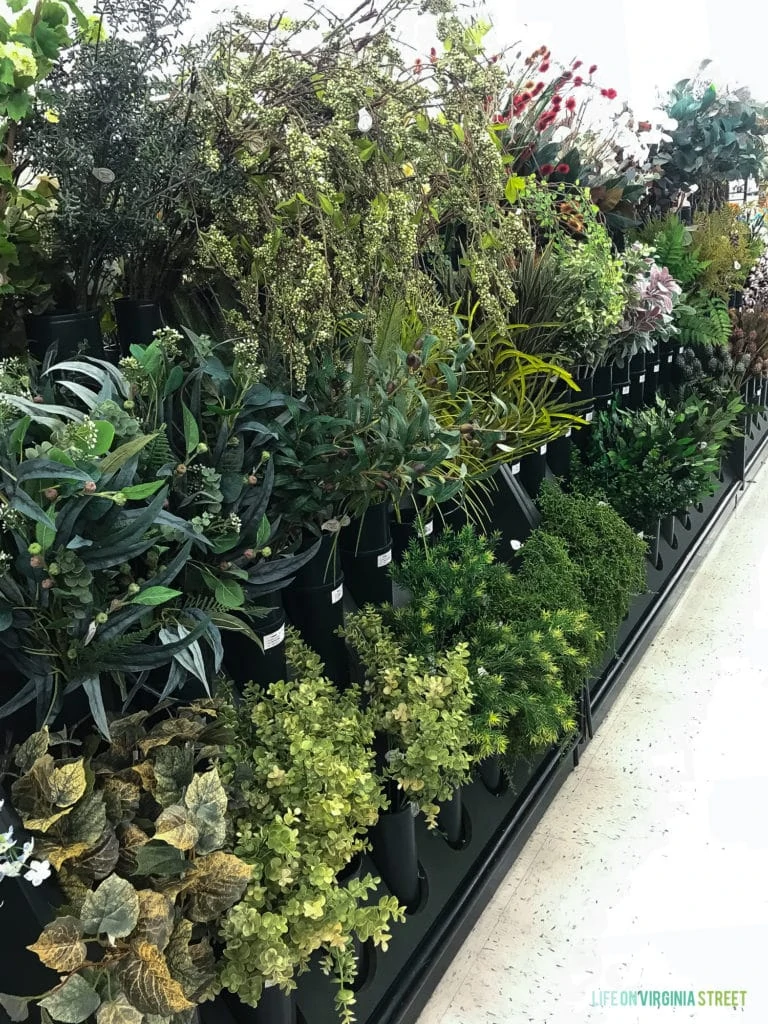 Many plants in a row in a store for sale.
