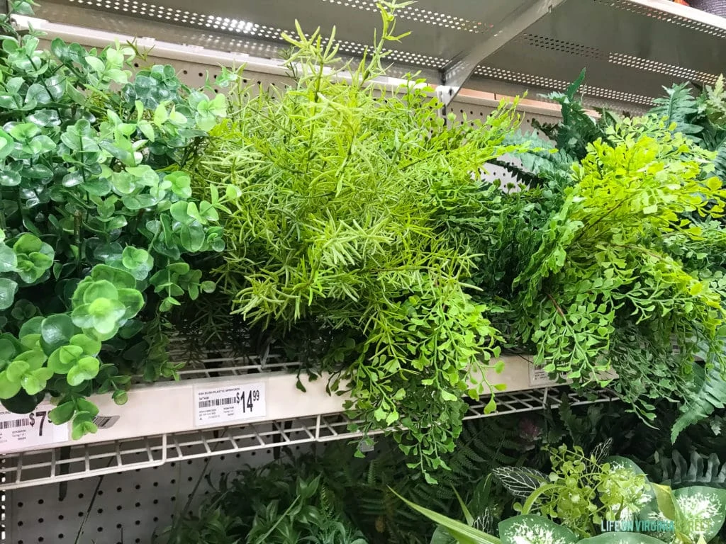 The light and dark green fake plants at Michaels store.
