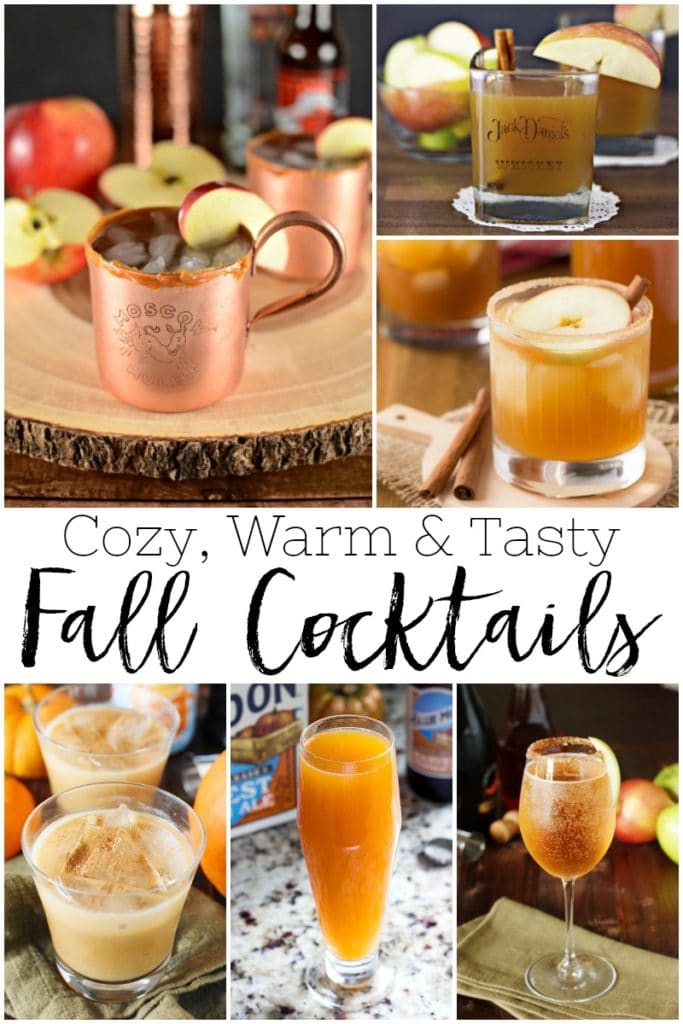 Cozy, warm & tasty fall coctails poster.
