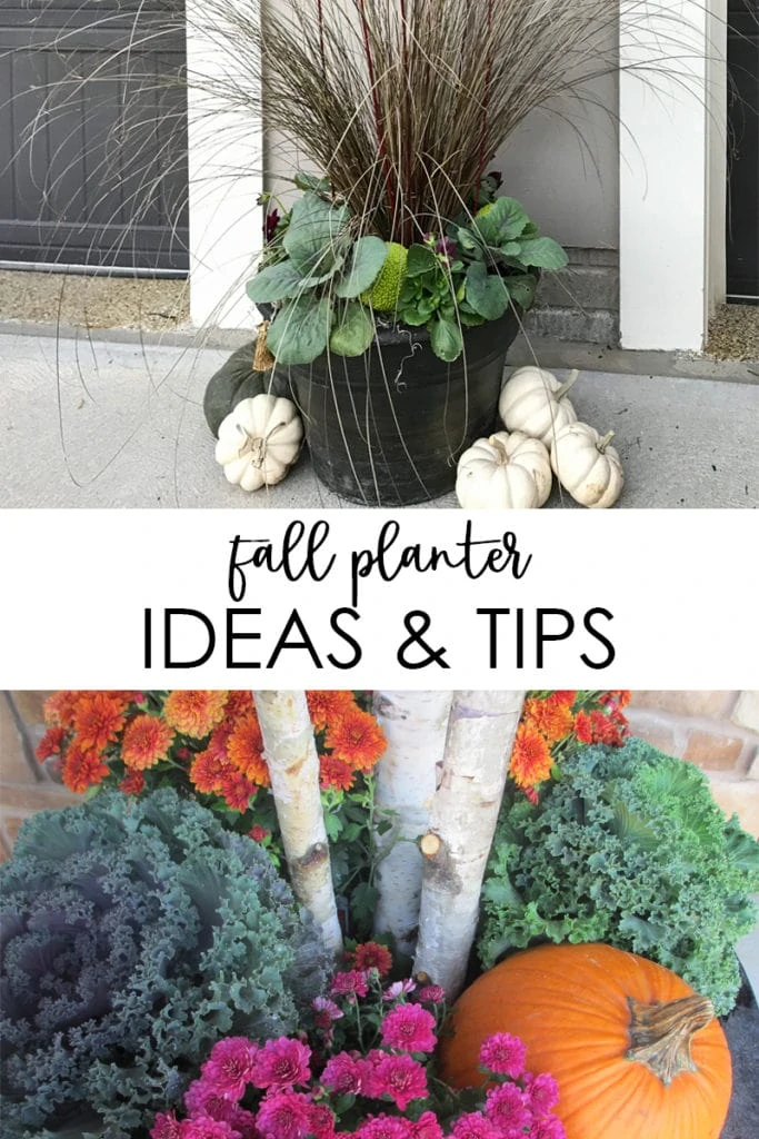 Fall planter ideas and tips poster.
