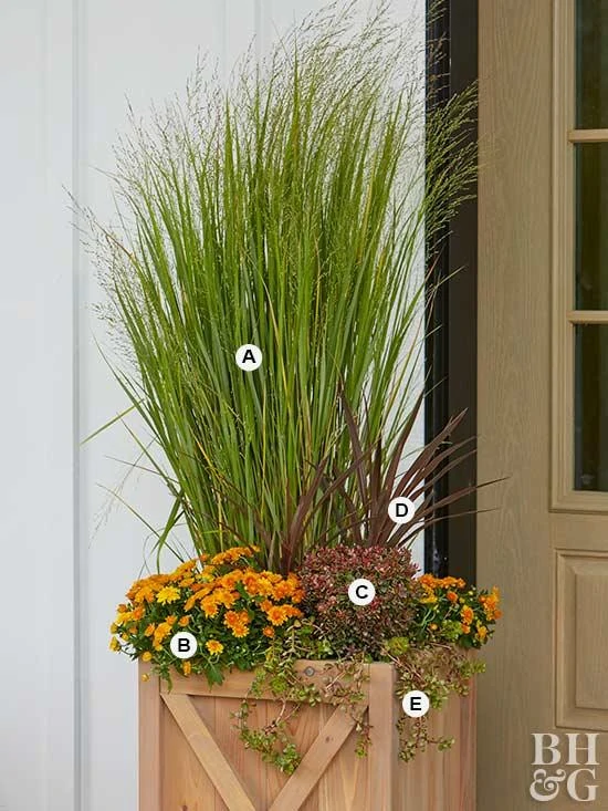 Ornamental grass in a wooden planter with gold flowers beside it.