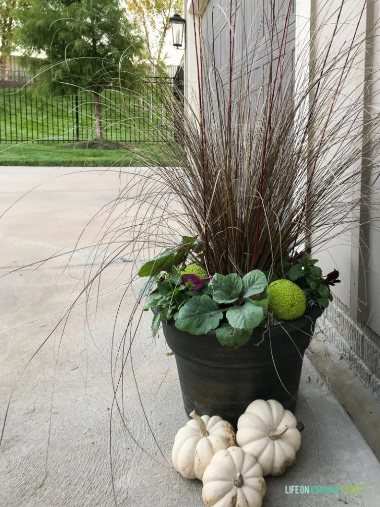 Ornamental grass and red twig dogwood in a planter with white pumpkins beside it.