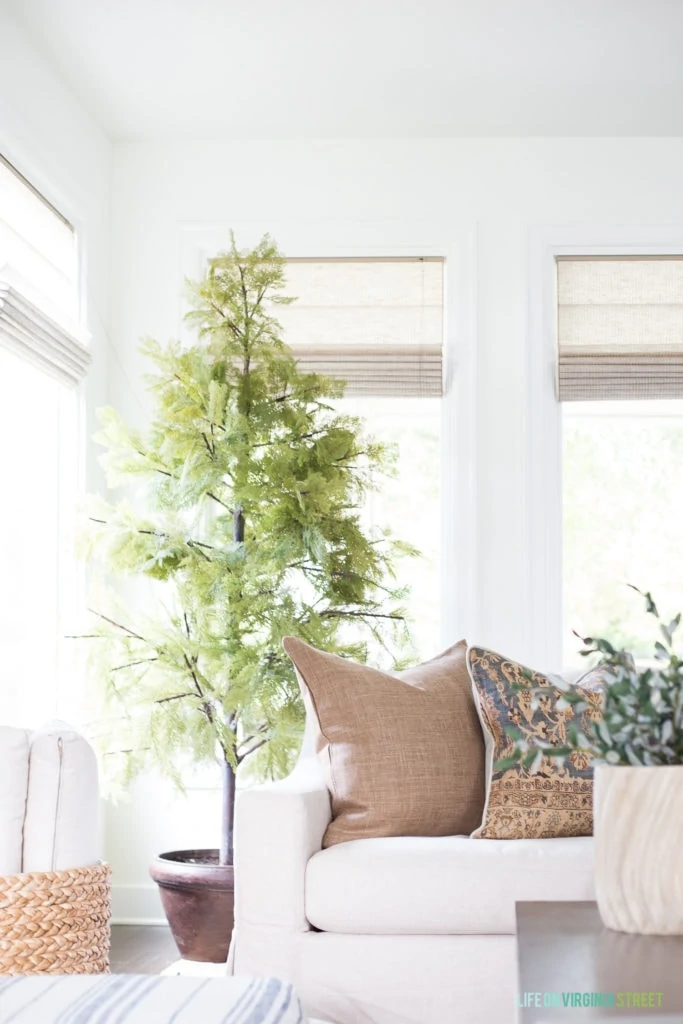 A beautiful faux cypress tree in a living room with a linen sofa and blue and brown decor.