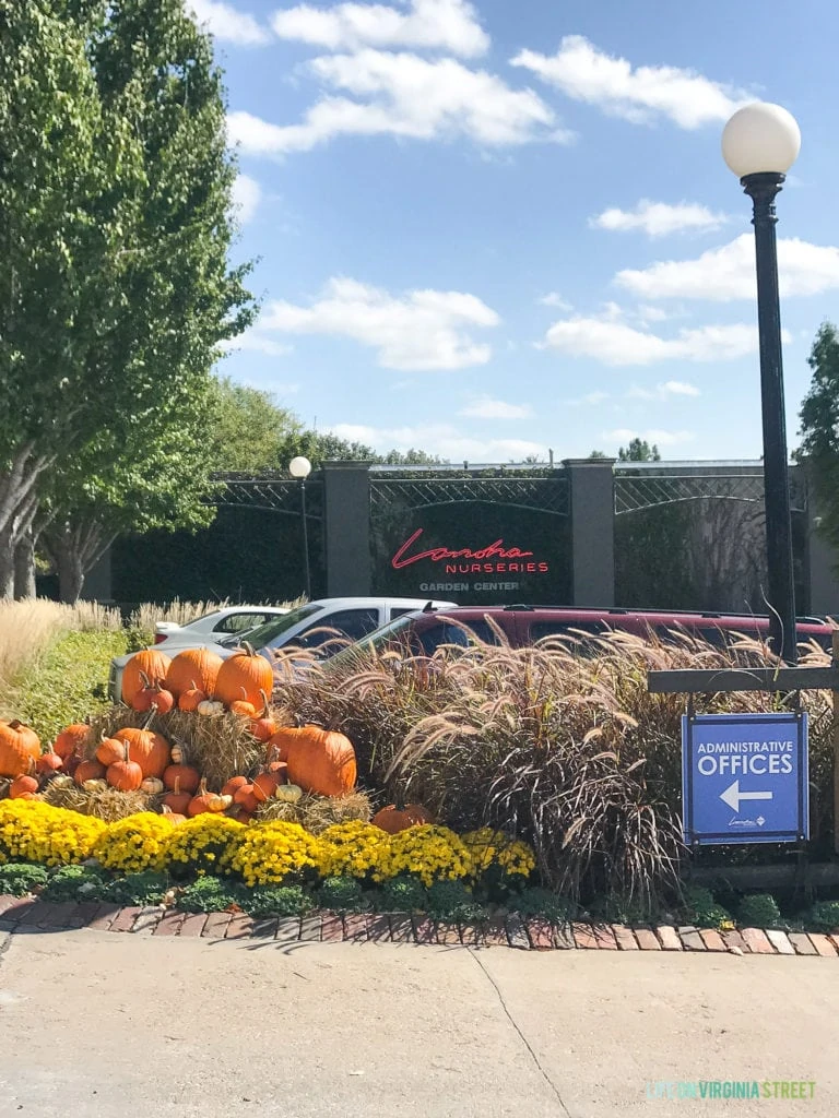 Lanoha gardening store with pumpkins out front.