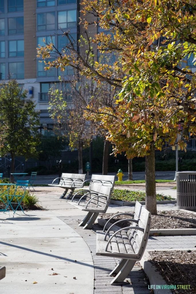 Park benches under trees to create shade in park.