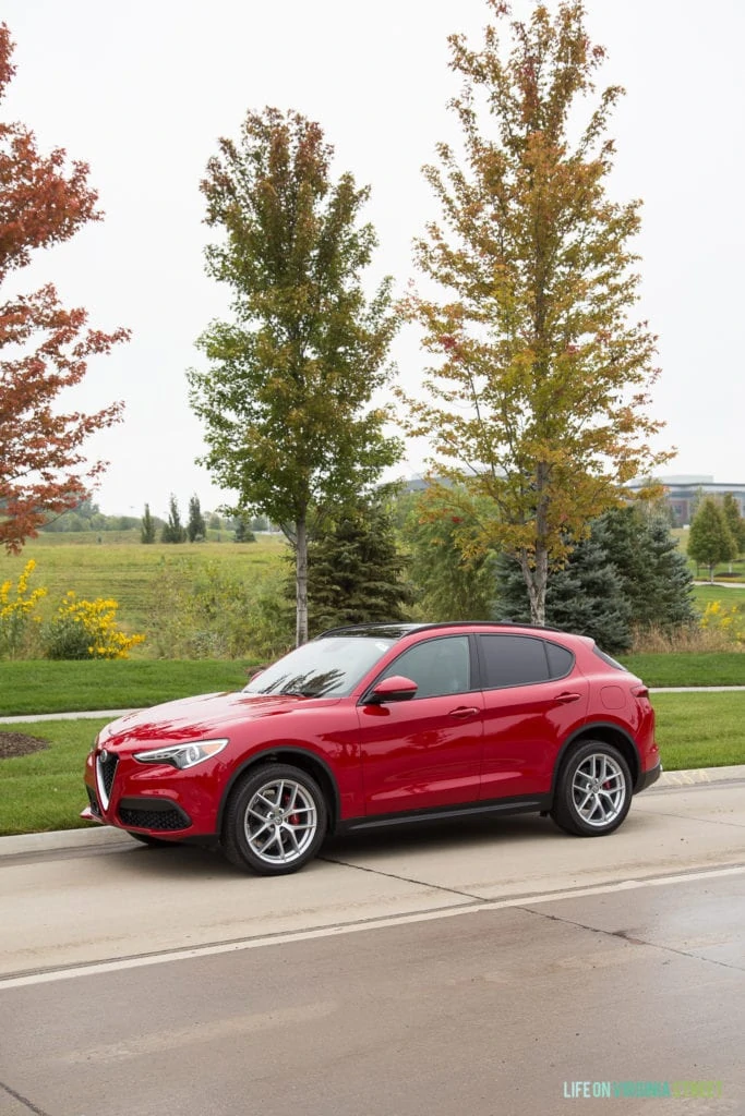 Alfa Romeo red car parked by large trees.