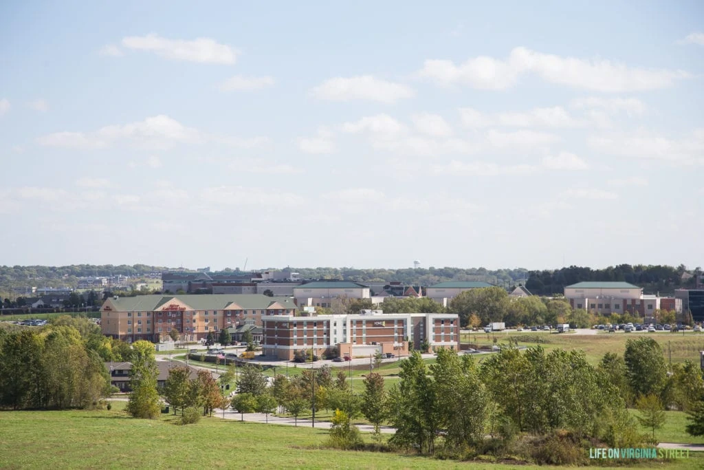 A large outdoor mall in a grassy area filled with trees.