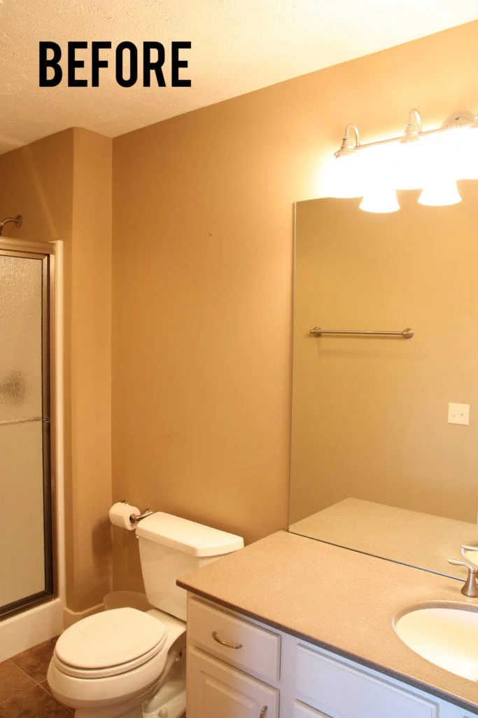 Sharing some small bathroom ideas! This is the before picture of builder basic bathroom.