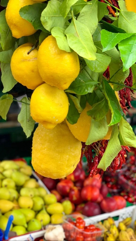 Fresh yellow lemons hanging on a branch.
