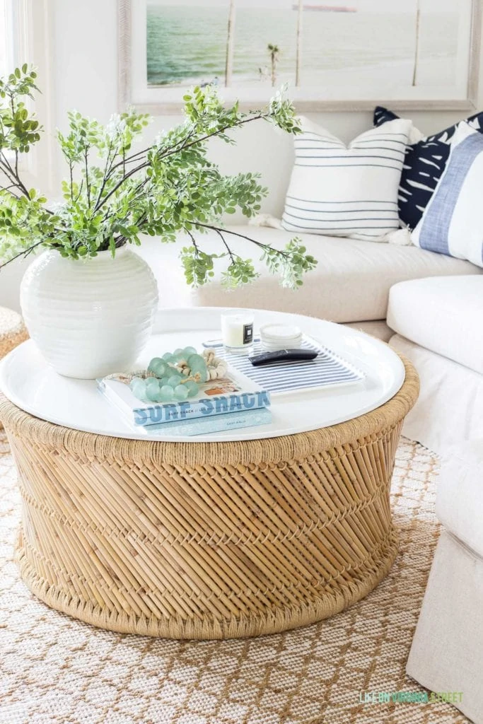 A green plant and book on the round coffee table.