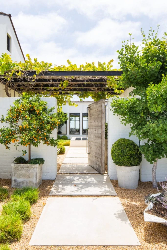 A small walkway leading to an opened door with a trellis filled with vines on it.