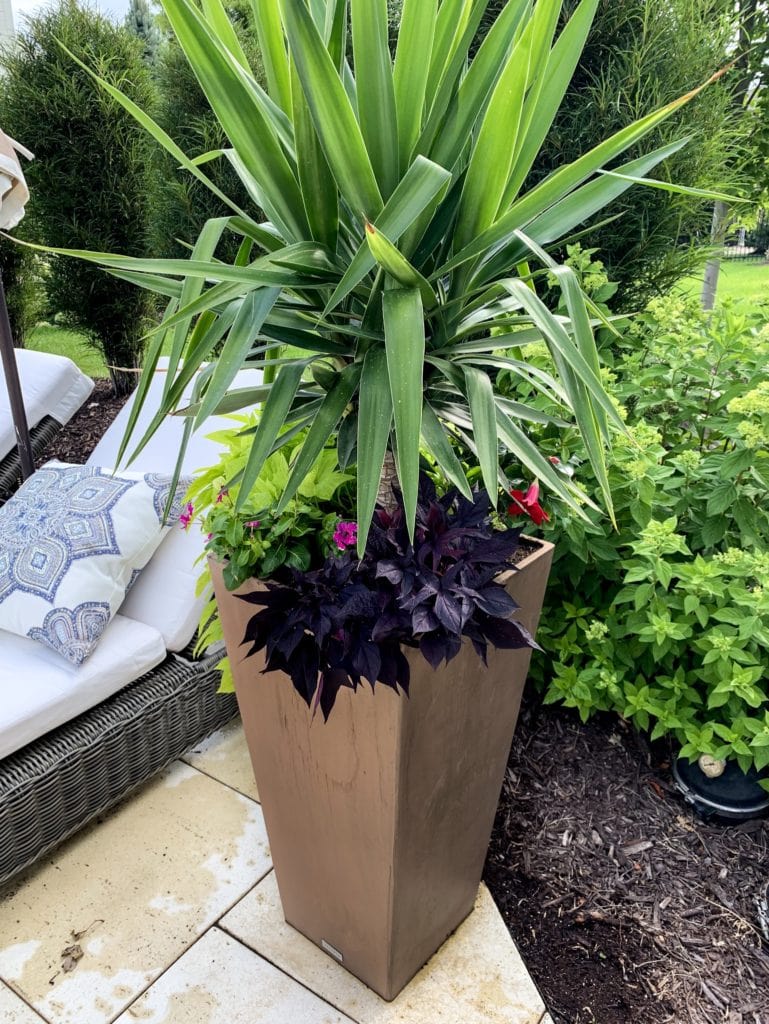 A tall brown outdoor planter filled with yucca, sweet potato vines and colorful flowers.