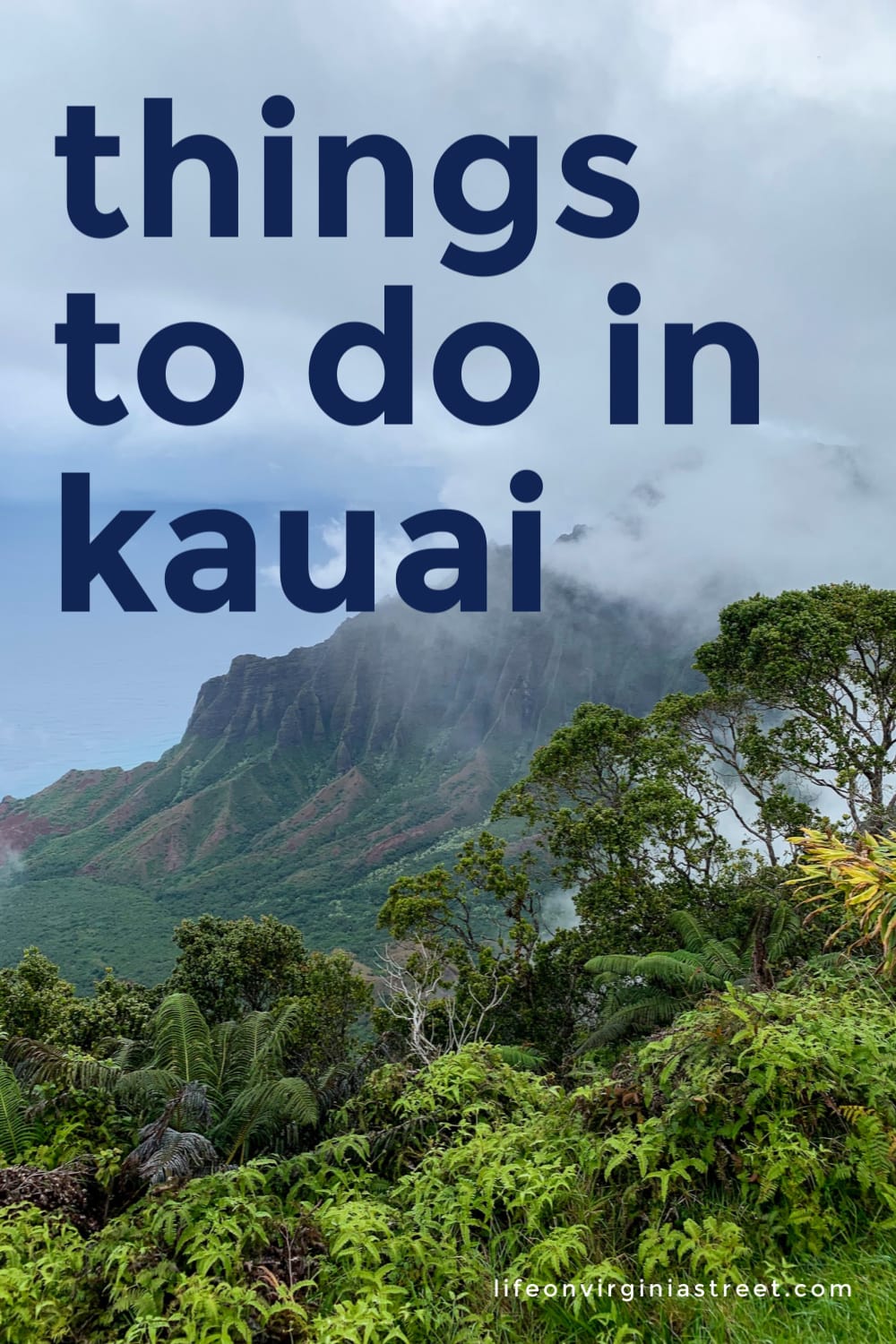 Things To Do In Kauai Life On Virginia Street