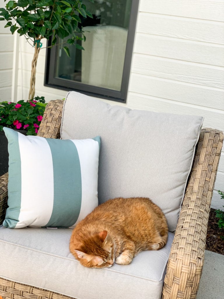 An orange cat sleeping in an outdoor courtyard space.