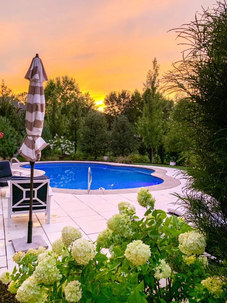 A pool deck at sunset with limelight hydrangeas, striped cabana umbrellas, navy blue and white patio furniture, and an oasis shaped pool surrounded by concrete travertine style pavers.