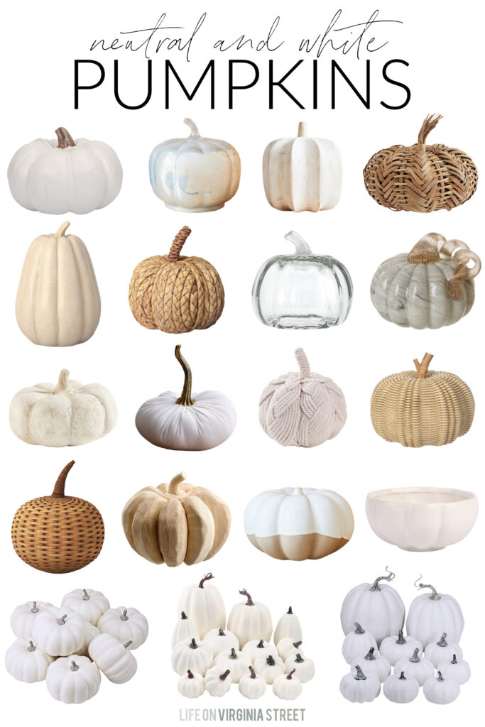 Neutral Pumpkin Pattern