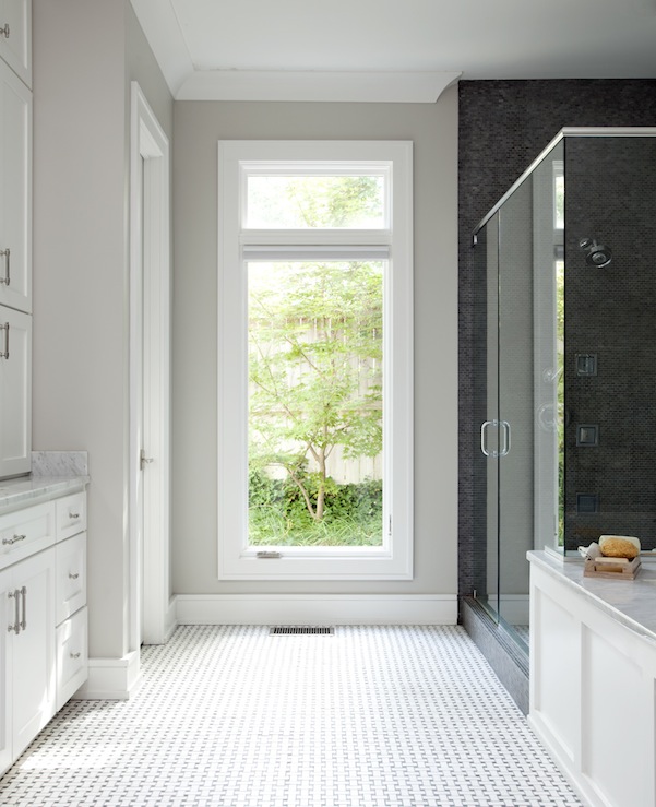 Sherwin Williams Repose Gray in a bathroom with large windows and a glass shower enclosure.
