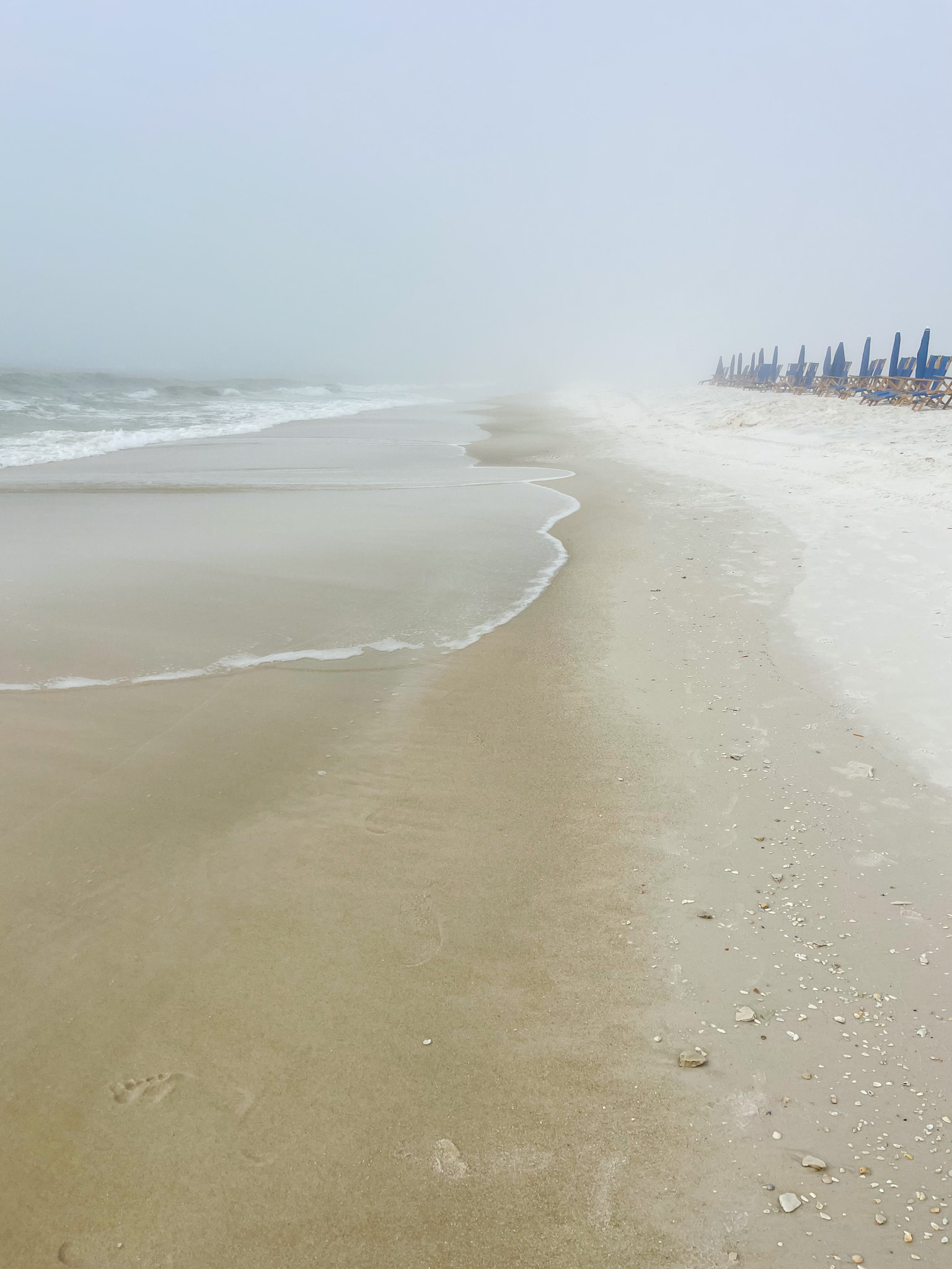 Weekend Recap - Life On Virginia Street