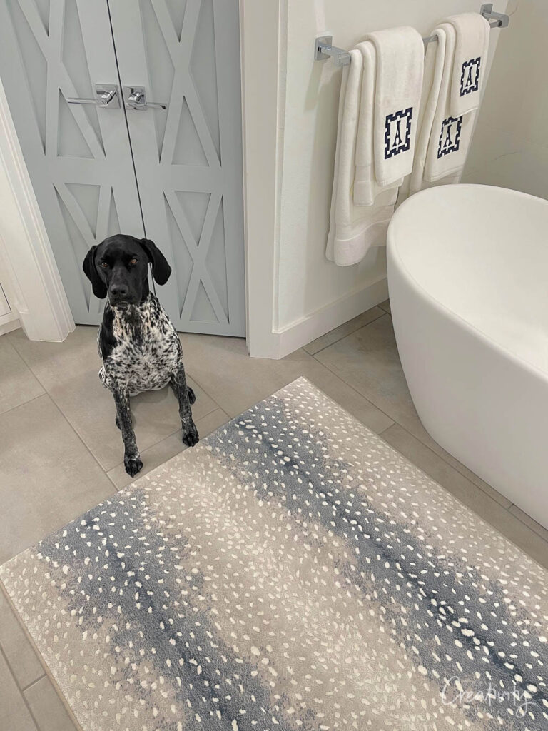 Sherwin Williams Samovar Silver painted doors in a contemporary bathroom.